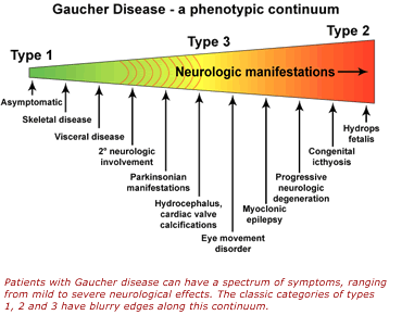 Gaucher Disease - Symptoms, Causes, Treatment